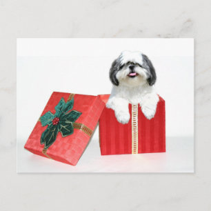 Cartão Postal De Festividades presente de Natal Shih Tzu