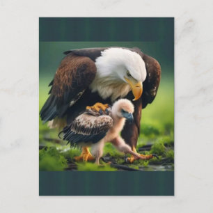 Cartão Postal De Festividades Presente do Dia dos Pais Águia Careca Patriótica