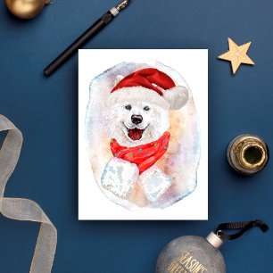 Cartão Postal De Festividades Presentes de Natal Samoyed Para Amantes de Cães