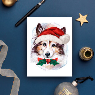Cartão Postal De Festividades Presentes de Natal Sheltie Para Amantes de Cães
