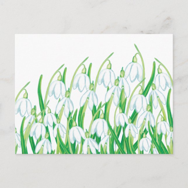Cartão Postal De Festividades Primavera Snowdrops (Frente)