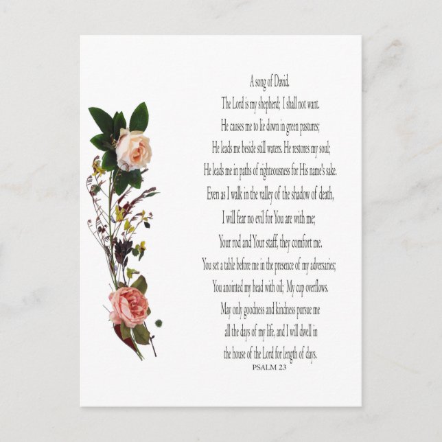 Cartão Postal De Festividades Psalm 23, Canção de David Postcard (Frente)