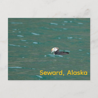 Cartão Postal De Festividades Puffin comendo peixe