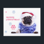Cartão Postal De Festividades Pug do cão do Natal no chapéu do papai noel<br><div class="desc">O Natal pets presentes,  artes,  engrenagens,  fatos e materiais</div>