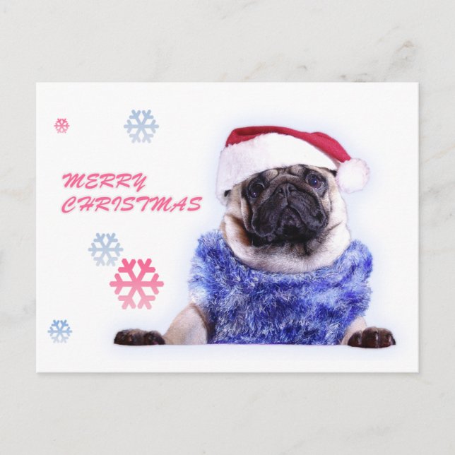 Cartão Postal De Festividades Pug do cão do Natal no chapéu do papai noel (Frente)