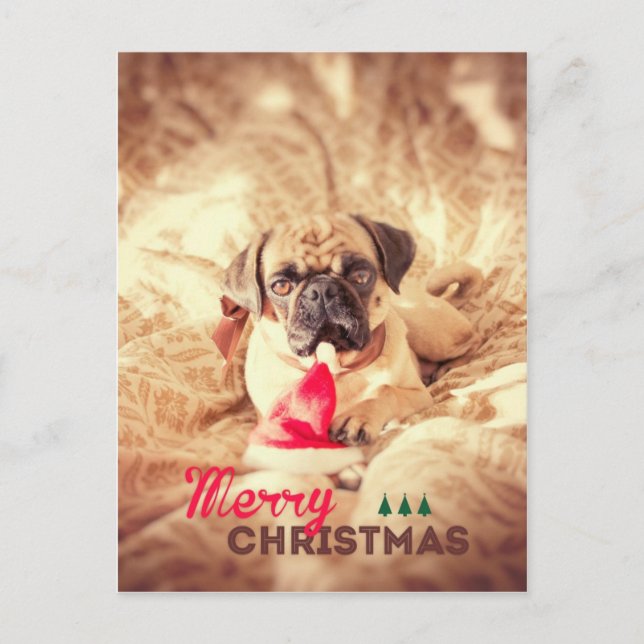 Cartão Postal De Festividades Pug do Feliz Natal (Frente)