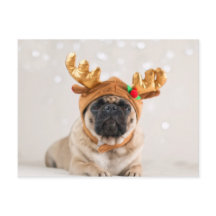 Pug do XMas