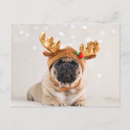 Cartão Postal De Festividades Pug do XMas