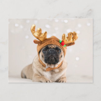Cartão Postal De Festividades Pug do XMas