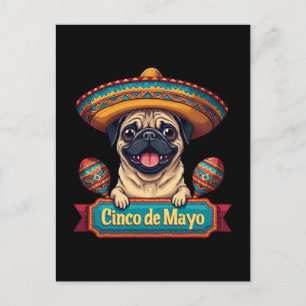 Cartão Postal De Festividades Pug Dog Sombrero Cinco De Mayo