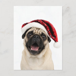 Cartão Postal De Festividades Pug Feliz Usando Chapéu Vermelho de Natal Brilhant