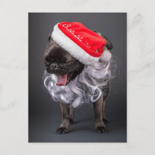 Cartão Postal De Festividades Pug Yawning em Santa Chapéu e Barba