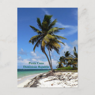 Cartão Postal De Festividades Punta Cana, República Dominicana, palmeira de coco