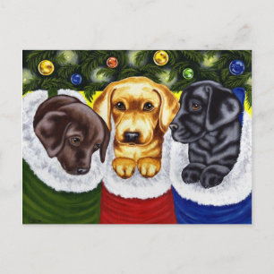 Cartão Postal De Festividades Puppies de Labrador de Natal