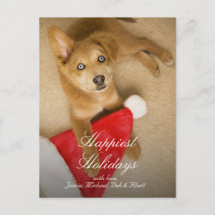 Cartão Postal De Festividades Puppy with Santa Claus hat