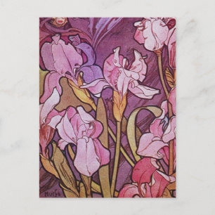 Cartão Postal De Festividades Purple Iris