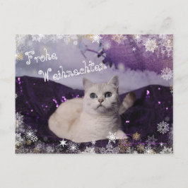 Cartão Postal De Festividades Purple XMAS Cats