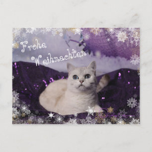 Cartão Postal De Festividades Purple XMAS Cats
