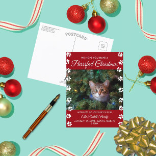 Cartão Postal De Festividades Purrrfect Christmas Cat Holiday Photo