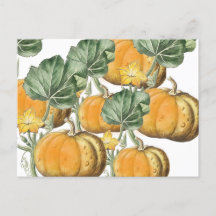 Quebra de Autumn Watercolor Vintage Pumpkins