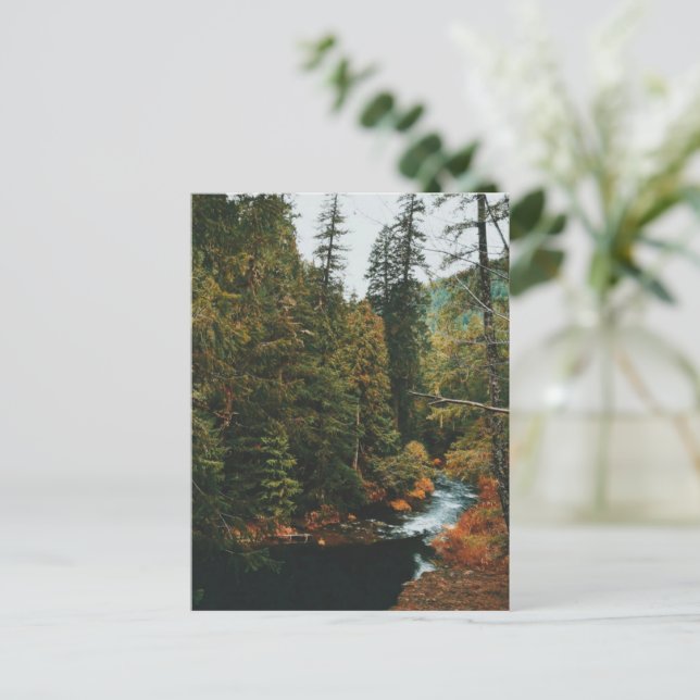 Cartão Postal De Festividades Quedas de Tamolitch ( Piscina Azul) (Em pé/Frente)