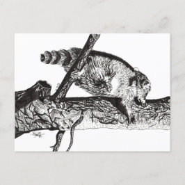 CARTÃO POSTAL DE FESTIVIDADES RACCOON