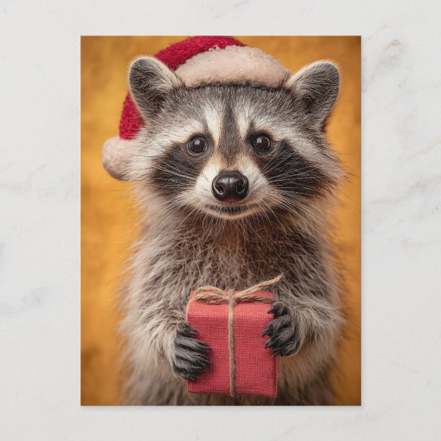 Cartão Postal De Festividades Raccoon Adorável em Santa Chapéu Segurando Present (Frente)