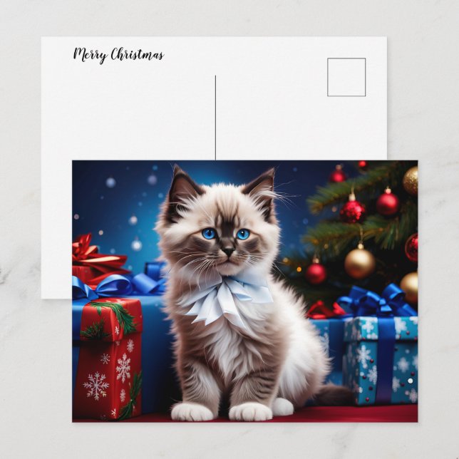 Cartão Postal De Festividades Ragdoll Kitten Natal Presente (Frente/Verso)
