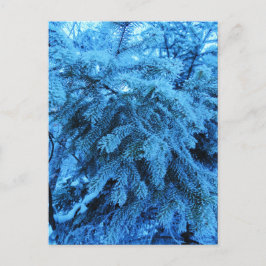 Cartão Postal De Festividades Ramais de molho cobertos com cristais de gelo