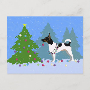 Cartão Postal De Festividades Rat Terrier Decorando uma Árvore de Natal na Flore