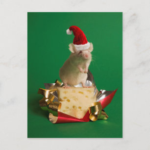 Cartão Postal De Festividades Rato com chapéu de Papai noel com queijo