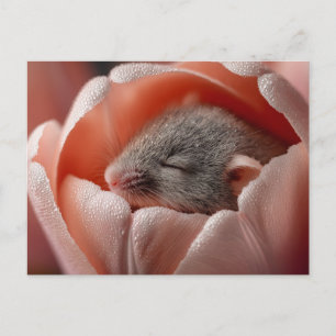 Cartão Postal De Festividades Rato de Colheita Adormecido Dentro de uma Tulipa C