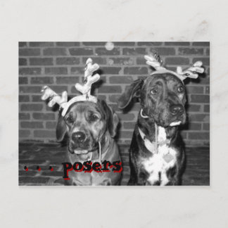 Cartão Postal De Festividades recontraste de registro do cartão xmas, . . ... ..