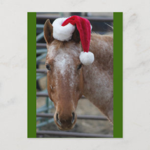 Cartão Postal De Festividades Red Appaloosa com Santa Hat