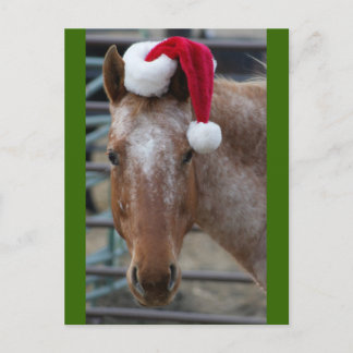 Cartão Postal De Festividades Red Appaloosa com Santa Hat