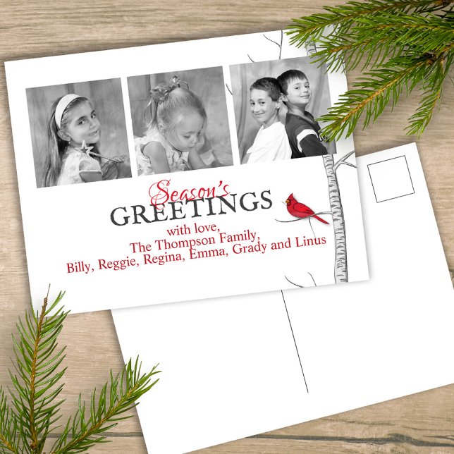 Cartão Postal De Festividades Red Cardinal Natal Woodland 3 Foto (Simple winter botanical red cardinal postcard with a minimalist design.)