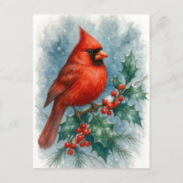 Cartão Postal De Festividades Red Cardinal on Winter Holly Christmas Postcard