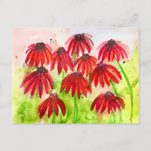 Cartão Postal De Festividades Red Echinacea Blooms Watercolor Art