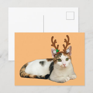 Cartão Postal De Festividades Reindeer Cleopatra