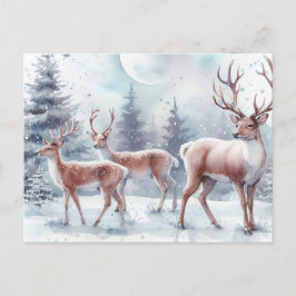 Cartão Postal De Festividades Reindeer de Natal
