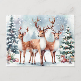 Cartão Postal De Festividades Reindeer de Natal