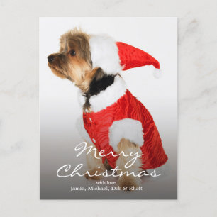 Cartão Postal De Festividades Retrato de Yorkshire Terrier Vestindo Santa Hat