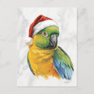 Cartão Postal De Festividades Retrato Vibrante de Papagaio com Chapéu de Papai N