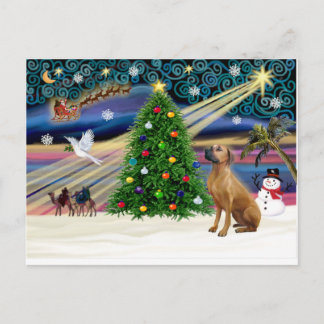 Cartão Postal De Festividades Ridgeback-lkup mágico-rodesiano do Natal