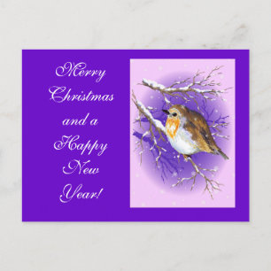 Cartão Postal De Festividades Robin 3 postacard