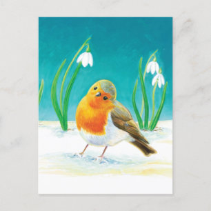 Cartão Postal De Festividades Robin Bird - Erithacus rubecula