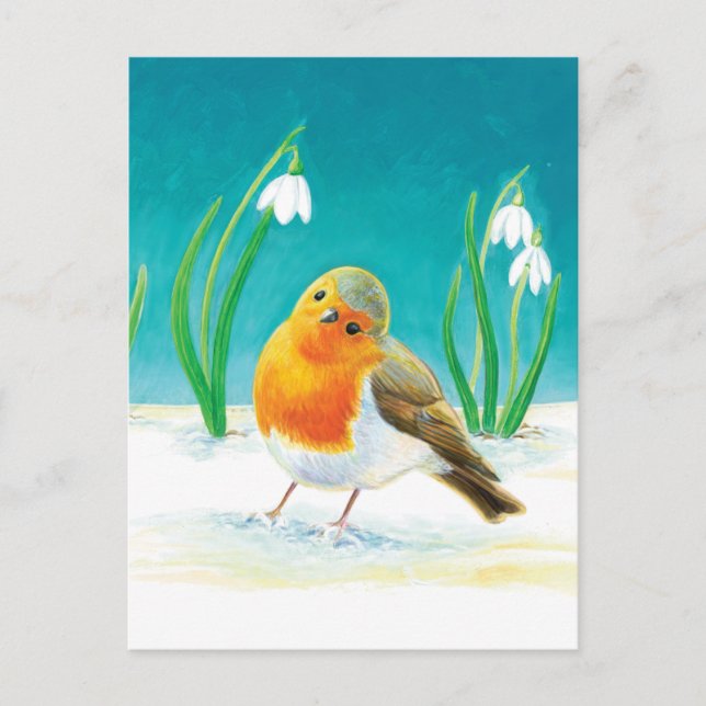 Cartão Postal De Festividades Robin Bird - Erithacus rubecula (Frente)