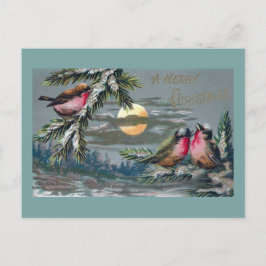 Cartão Postal De Festividades Robins do Euro em Natais vintages da Noite Lua