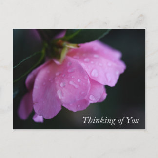 Cartão Postal De Festividades Rosa Rosa Rosa Elegante se aproxima com o seu pens