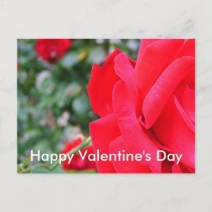 Cartão Postal De Festividades Rosa vermelha, feliz dia de os namorados